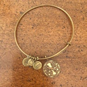 alex and ani bracelet